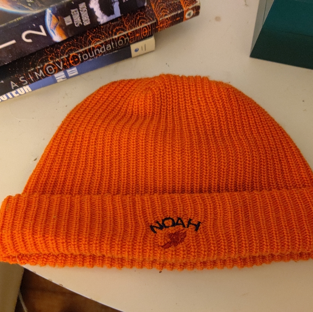 Noah NYC Beanie in Orange